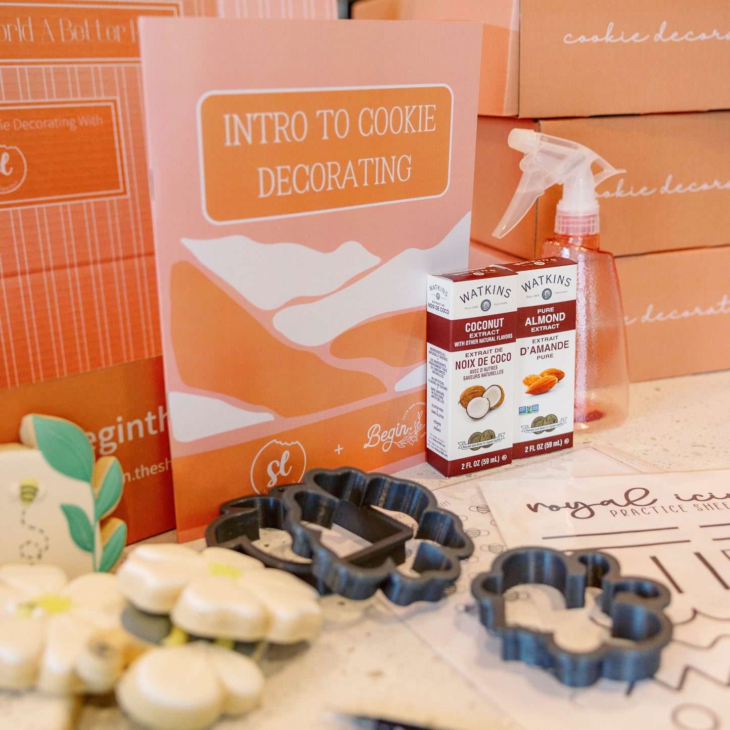 Cookie Decorating Box + Instructions