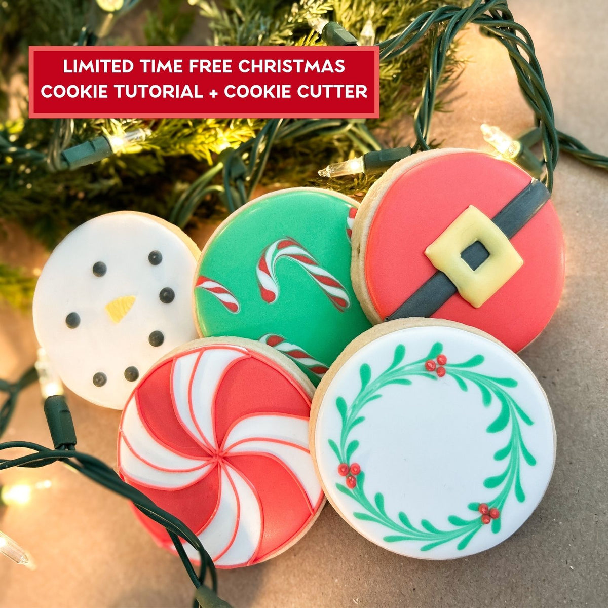 Cookie Decorating Box + Instructions